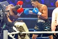 Видео боя: Жанибек Алимханулы — Милтон Нуньес, HD 1080