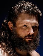 Рой Нельсон