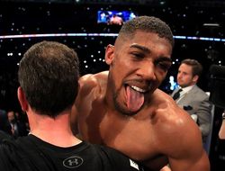 фото - Джошуа и Пулев договорились о бое — СМИ