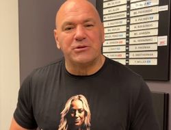 фото - Новая система бонусов от UFC. Мнения экспертов