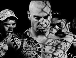 фото - В Австралии нашёлся желающий драться с возвращающимся в бокс Фьюри