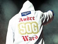 фото - Лучиан Буте не собирается охотиться за Андре Уордом