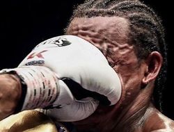 фото - Усик ответил хэйтерам, Ковалёв деформирует лицо Ярда, Теофимо в Лондоне — соцсети