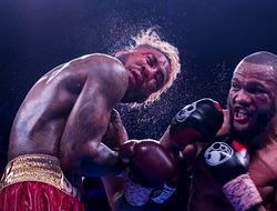 фото - Хёрд и Уильямс готовы повторить «бой года»: есть дата и место проведения реванша