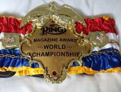 фото - Журнал The Ring озвучил пятёрку претендентов на каждую из десяти номинаций