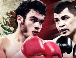 фото - Реванш Чавес-Вера состоится не раньше февраля