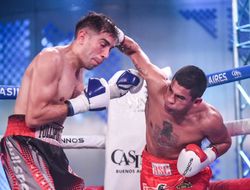 фото - «Новый Ломаченко» облажался, причём дважды кряду: результаты и видео