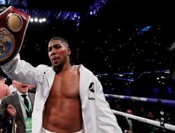 фото - Джошуа и Паркер подерутся снова? Отвечает промоутер британского чемпиона