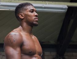 фото - Паркер опаснее Уайлдера — вывод Джошуа