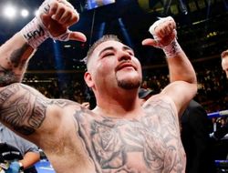 фото - Толстый троллинг