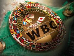 фото - Фьюри и Уайт попросили WBC дать им ещё время. Сулейман отреагировал