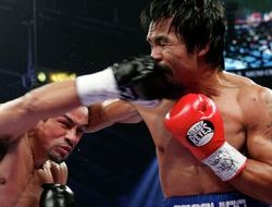 фото - Хуан Мануэль Маркес поможет соотечественнику в подготовке к бою с Рунгвисаи