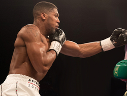 фото - Стоит ли Джошуа принимать бой с Фьюри? Мнения экспертов