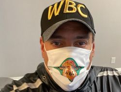 фото - WBC изменит правила об обязательном претенденте. Причина – Альварес–Йылдырым