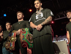 фото - Ты почему такой дерзкий? Канело тонко троллит Берлангу