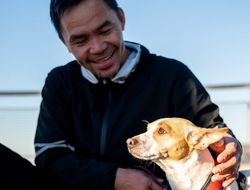 фото - Пакьяо или Гиясов? Почему судьба Ромеро зависела от Мейвезера