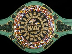 фото - Тайсон Фьюри получил шанс «породниться» с майя