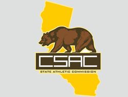 фото - Чиновники настаивают: никакой рубки Тайсон–Джонс не будет, иначе остановят бой