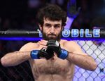 Возвращение Забита Магомедшарипова: президент UFC внёс ясность