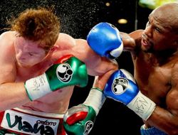 фото - Если бы Мейвезер вышел на реванш с Канело, его бы нокаутировали – мнение Гарсии