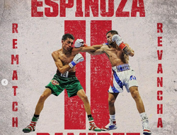 фото - Два реванша за титулы чемпиона мира: Top Rank официально анонсировала шоу в декабре