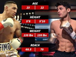 фото - Райан Гарсиа против Теофимо Лопеса в 2021-м. Top Rank и Golden Boy начали переговоры