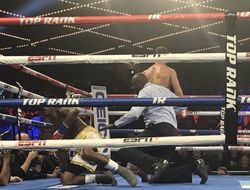 фото - Беспутин дважды отправлял Абреу в нокдаун, но победил решением судей