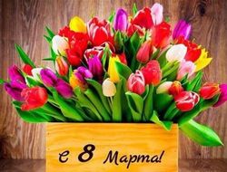 фото - Боксёры поздравляют женщин с праздником — соцсети