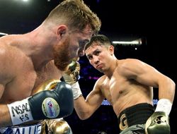 фото - Насчитавшая 118–110 Альваресу судья чувствует себя ужасно — чиновник 