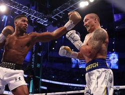 фото - Как Джошуа побить Усика в реванше? Надо меньше думать — Хирн