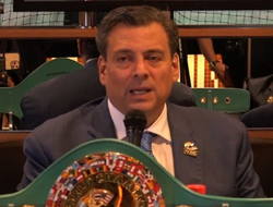 фото - Ломаченко и Крус отказались от боя со Стивенсоном — президент WBC