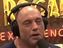 Роган советует Трампу всегда выбирать UFC