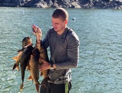 фото - Рой Джонс вспомнил былое, Уайлдер подтянулся на лесах, Богачук наловил карпов — соцсети