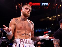 фото - Пол подерётся с легендой, экс-объединённый чемпион завершил карьеру