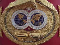 фото - Бои за титулы чемпиона мира в Японии, олимпийский чемпион вернётся в Ташкенте