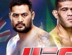 фото - Анонс главных поединков UFC Fight Night 33: Hunt vs. Bigfoot