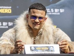 фото - Дэвис подерётся не с «серийным насильником» Ролли? Инсайдер озвучил замену