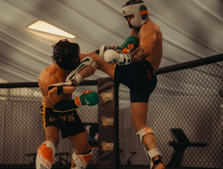 фото - Бой с Чендлером станет последним в карьере Макгрегора — RNZ 