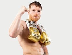 фото - Если Канело выберет Головкина: Хирн назвал три варианта для Бивола на осень