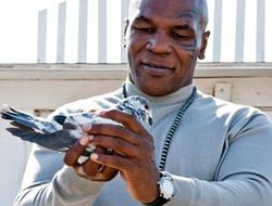 фото - (Видео) Пилотный выпуск телепроекта Майка Тайсона на Animal Planet