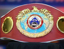 фото - Чем завершились торги по схватке Сергей Ковалёв – Энтони Ярд? Рассказывают в WBO