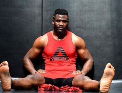 фото - Жаирзиньо Розенструйк получил бой с Фрэнсисом Энганну: дата, место