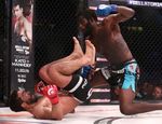 Bellator 145: Страус вернул титул, Брукс титул сохранил