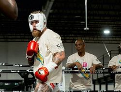 фото - Макгрегор назвал победителя боя Пол – Джошуа