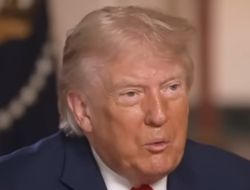 фото - Президент Трамп о UFC White House: «Такого вы больше никогда не увидите»