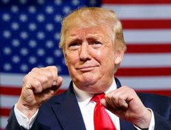 фото - Дональд Трамп теперь и в боксе, вместе с сыном. Смиритесь с этим