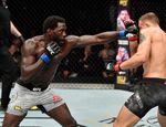 Каннонье забил Эрманссона: все результаты и бонусы UFC Fight Night 160 в Дании