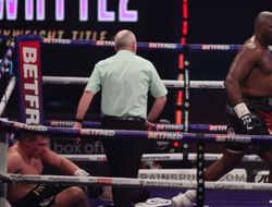 фото - У Уайта появились новые варианты в США. Вряд ли вам понравится идея