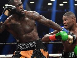 фото - «Это всё отмазки». Уайлдер ответил Ортису