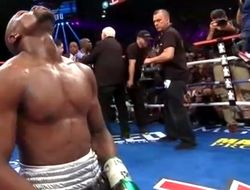 фото - Моя карьера закончена, спасибо всем, я люблю вас — Мэйуэзер